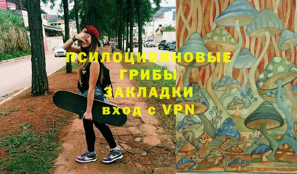 прущий лед Армянск