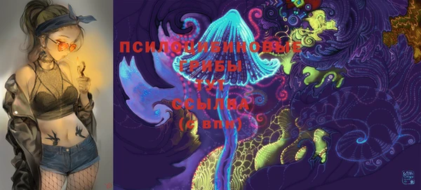ешки Баксан